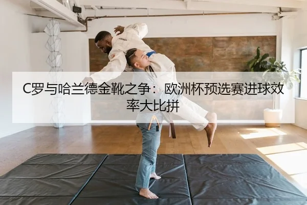 luo-yu-ha-lan-de-jin-xue-zhi-zheng-ou-zhou-bei-yu-xuan-sai-jin-qiu-xiao-lv-da-bi-pin-2-183.jpg